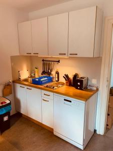 Kuchyňa alebo kuchynka v ubytovaní Schöneben Apartment Zollhaus