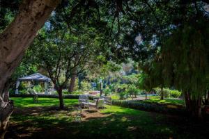 Zahrada ubytování Hotel Parco delle Fontane