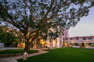 Zahrada ubytování Hotel Parco delle Fontane