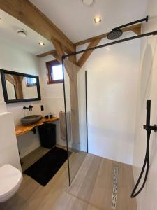 a bathroom with a shower with a toilet and a sink at Zantverde in Zandvoort