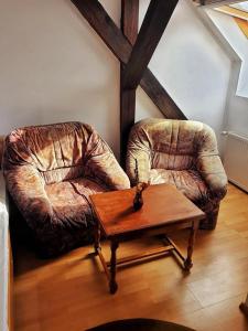 2 sedie e un tavolino in soggiorno di HOTEL MARION a Dumbrăveni