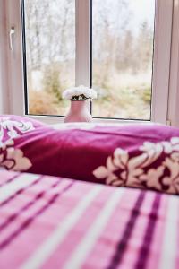 Postel nebo postele na pokoji v ubytování Domki Nad Stawami Apartament