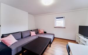 TV a/nebo společenská místnost v ubytování Domki Nad Stawami Apartament