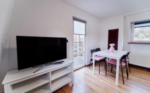 TV a/nebo společenská místnost v ubytování Domki Nad Stawami Apartament