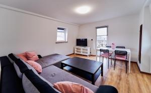 TV a/nebo společenská místnost v ubytování Domki Nad Stawami Apartament