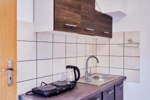 Kuchyň nebo kuchyňský kout v ubytování Domki Nad Stawami Apartament