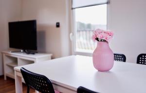 TV a/nebo společenská místnost v ubytování Domki Nad Stawami Apartament