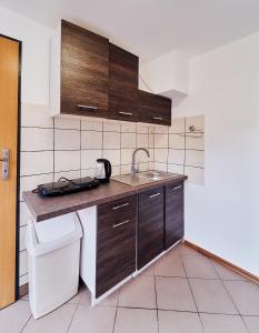 Kuchyň nebo kuchyňský kout v ubytování Domki Nad Stawami Apartament