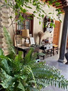 
a garden area with a table, chairs, and plants at Hotel Santa Isabel La Real in Granada
