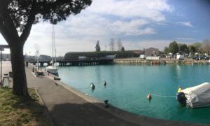a group of boats on a lake with birds in it at Marzan 12 in Peschiera del Garda