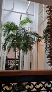 una palmera sentada en la parte superior de un banco en The Atrium - A Stylish Home with up to 6 Bedrooms, en Port Pirie