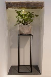 Fotografie z fotogalerie ubytování Porta Vetere - Boutique Rooms v destinaci Trani