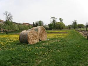 Fotografia z galérie ubytovania Vinný sklep Kovárna v destinácii Rohatec