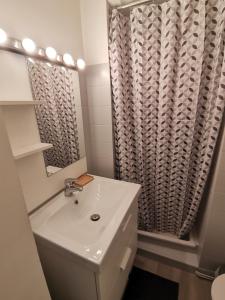 La salle de bains est pourvue d'un lavabo et d'un rideau de douche. dans l'établissement Anémone - studio tout confort en centre ville, à Millau