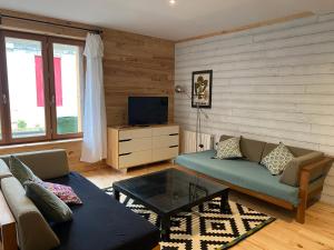 a living room with a couch and a tv at Ecolodge Appartements 2 pièces cosy gare in Bordeaux