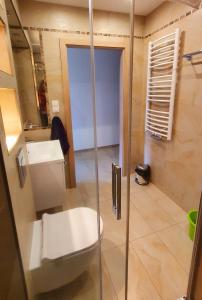 Kúpeľňa v ubytovaní Holiday Family - W Dolinie Szczęścia apartamentowiec Bawaria
