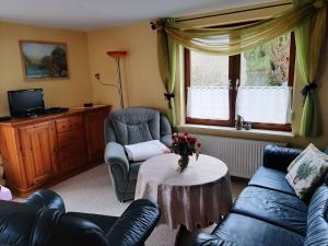 TV a/nebo společenská místnost v ubytování Ferienwohnung Sylvia-Marie + 13 fotografií