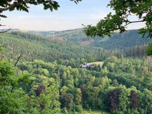 a view of a forest with a house in the middle at Ferienwohnung Sylvia-Marie in Ziegenrück