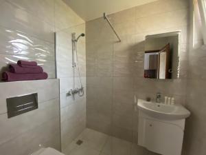 a bathroom with a toilet and a sink and a shower at NM Residence in Shkorpilovtsi +59 photos