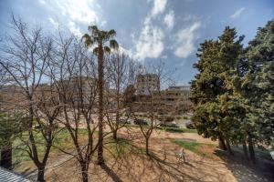 a palm tree in a park with a building in the background at barapartman_centar in Bar