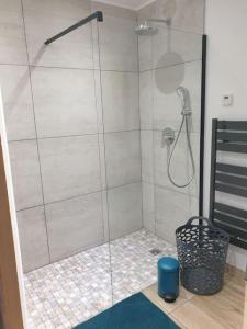 eine Dusche mit Glastür im Badezimmer in der Unterkunft Maisonnette individuelle pour 4 personnes 2 chambres Terrasse - Design & Haute Qualité in Bourbourg + 24 Fotos