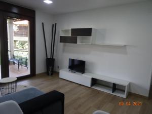 TV a/nebo společenská místnost v ubytování Apartamentos Casa Manolo