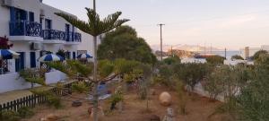 a garden of trees and plants in front of a building at Aegean Star Hotel in Karavostasi