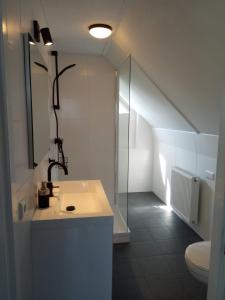a bathroom with a sink and a shower and a toilet at 55 Bytling in Terherne