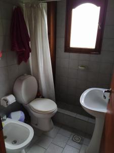 a bathroom with a toilet and a sink at Habitacion privada en cabaña compartida "Los Cordobeses" in San Martín de los Andes +9 photos