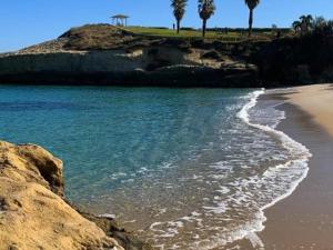 una playa con el océano y palmeras en el fondo en Struttura Re Barbaro, en Porto Torres