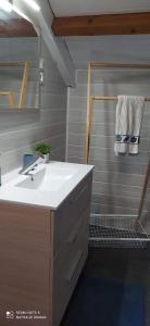 een badkamer met een wastafel en een douche bij Gîte Le Roman d'Alleyrac (ciel bleu) in Alleyrac