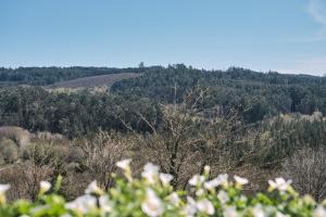 Afbeelding uit fotogalerij van Pensión A Solaina 3 in O Pedrouzo