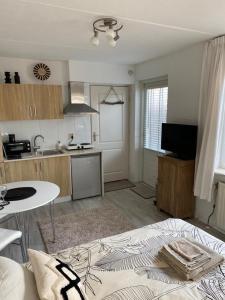 Η κουζίνα ή μικρή κουζίνα στο Studioverhuur Vlissingen