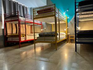 a room with three bunk beds in it at Lion Hostel in Milan