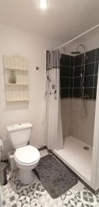 a bathroom with a toilet and a shower at Studio Anoe in Nice