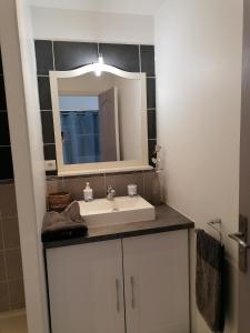 La salle de bains est pourvue d'un lavabo et d'un miroir. dans l'établissement Studio Anoe, à Nice