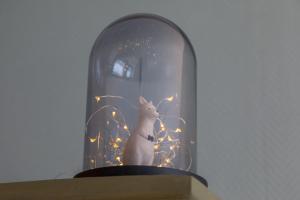 une figurine d'un lapin dans un dôme de verre éclairé dans l'établissement Studio Kon. Emmaweg 6, Vrouwenpolder, à Vrouwenpolder
