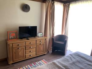 TV a/nebo společenská místnost v ubytování MAGNET - private chalet