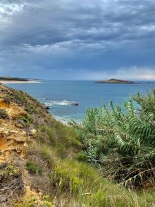 uma vista para o oceano a partir de uma colina com plantas em Ocean House Alentejo em Porto Covo