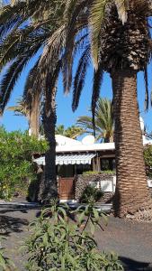 twee palmbomen voor een gebouw bij Casa Tanja Casas del Sol in Playa Blanca