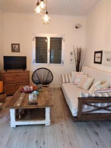 salon z kanapą i stolikiem kawowym w obiekcie VILLA ANDRIANA w mieście Leukada (miasto)