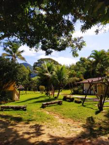 a park with palm trees and a building in the distance at Recanto dos Pássaros - Sana Chalés in Sana