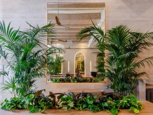 Browns Avenue Hotel في لشبونة: غرفة بها نباتات وطاولات ومرآة