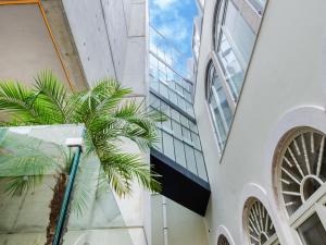 uma palmeira em frente a um edifício em Browns Avenue Hotel em Lisboa