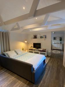 a bedroom with a large bed and a tv at Carpe Diem Guest Cottage in Östhammar