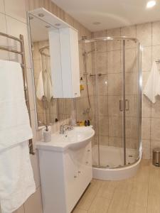 ein Badezimmer mit einem weißen Waschbecken und einer Dusche in der Unterkunft EVARENT Buto nuoma Birštone in Birštonas