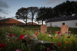 un campo di fiori di fronte a una casa bianca di Thistle Thatch Cottage and Hot Tub - Mourne Mountains a Newcastle