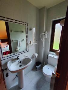 ein Badezimmer mit einem Waschbecken, einem WC und einem Spiegel in der Unterkunft Hotel Cumbres de Valdeón in Posada de Valdeón