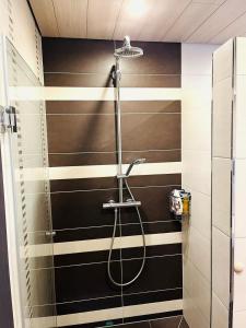 a bathroom with black and white stripes on the wall at Ferienwohnung Burgblick in Schramberg