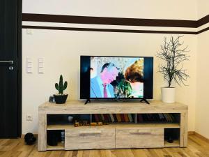 een flatscreen-tv bovenop een houten entertainmentcentrum bij Ferienwohnung Burgblick in Schramberg